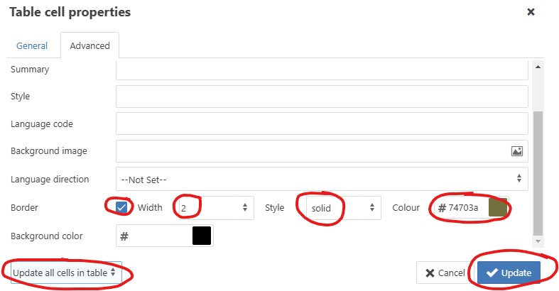 table cell border