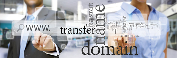 Domain Registrar, Registry and Registrant Domain Registrar, Registry and Registrant